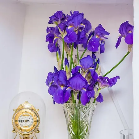 Art House Zanze Apartament *